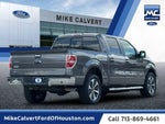2013 F-150 Thumbnail 5