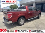 2014 F-150 Thumbnail 2