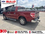 2014 F-150 Thumbnail 3