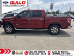 2014 F-150 Thumbnail 4