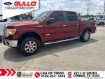 2014 F-150 Thumbnail 5