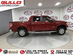 2014 F-150 Thumbnail 9