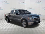 2013 F-150 Thumbnail 3