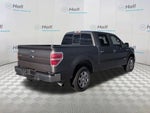 2013 F-150 Thumbnail 5