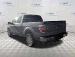 2013 F-150 Thumbnail 7