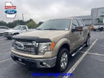 2013 F-150 Thumbnail 1