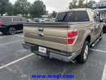 2013 F-150 Thumbnail 3
