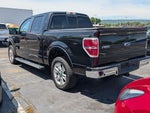 2013 F-150 Thumbnail 6