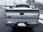 2012 F-150 Thumbnail 7