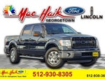 2013 F-150 Thumbnail 1
