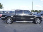 2013 F-150 Thumbnail 5