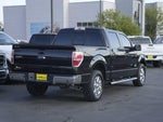 2013 F-150 Thumbnail 6