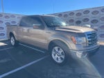 2013 F-150 Thumbnail 2