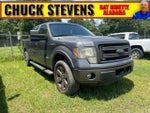 2013 F-150 Thumbnail 1
