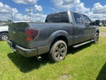 2013 F-150 Thumbnail 4