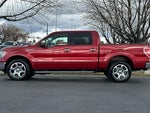 2013 F-150 Thumbnail 5