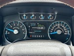 2013 F-150 Thumbnail 22
