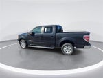 2014 F-150 Thumbnail 5