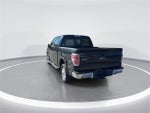 2014 F-150 Thumbnail 6