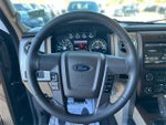2014 F-150 Thumbnail 15