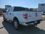 2014 F-150 Thumbnail 3