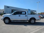 2014 F-150 Thumbnail 4