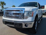2014 F-150 Thumbnail 5