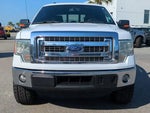 2014 F-150 Thumbnail 6