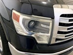 2013 F-150 Thumbnail 11
