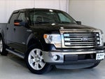 2013 F-150 Thumbnail 28