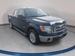 2011 F-150 Thumbnail 3