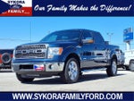 2013 F-150 Thumbnail 1