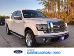 2010 F-150 Thumbnail 1