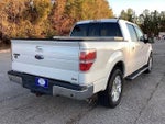 2010 F-150 Thumbnail 5