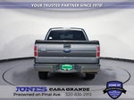 2010 F-150 Thumbnail 4