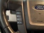 2010 F-150 Thumbnail 19