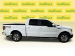 2010 F-150 Thumbnail 3