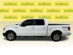 2010 F-150 Thumbnail 12