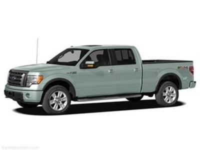 2010 Ford F-150 4X2 Platinum 4DR Supercrew Styleside 6.5 FT. SB