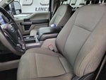 2020 F-150 Thumbnail 6