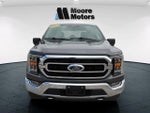 2021 F-150 Thumbnail 2