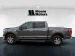 2021 F-150 Thumbnail 3
