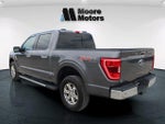2021 F-150 Thumbnail 4