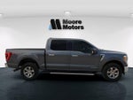 2021 F-150 Thumbnail 2