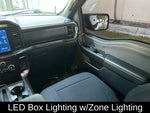 2021 F-150 Thumbnail 11