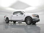 2021 F-150 Thumbnail 4