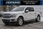 2019 F-150 Thumbnail 1