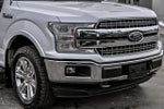 2019 F-150 Thumbnail 11