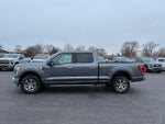2021 F-150 Thumbnail 2