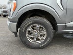2021 F-150 Thumbnail 13